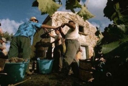 Dionis Vakh Bahus Bog Vina Vinodeliya I Vinogradarstva Drevnie Bogi I Geroi